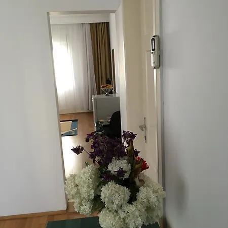 Pensionat Vila Bendis